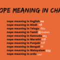 Meaning of nope in Chat