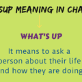 ssup meaning in chat reply